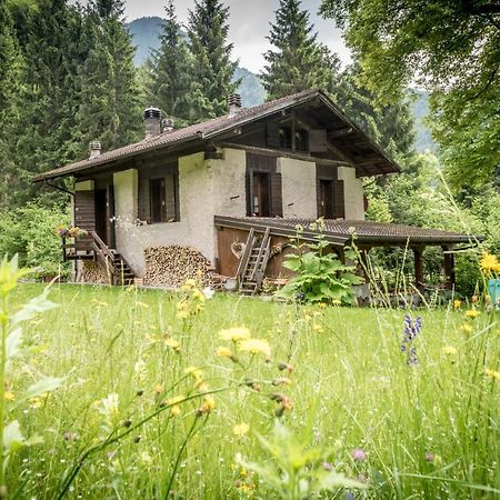 Chalet Silenthia Villa Lenzumo di Concei Exterior photo